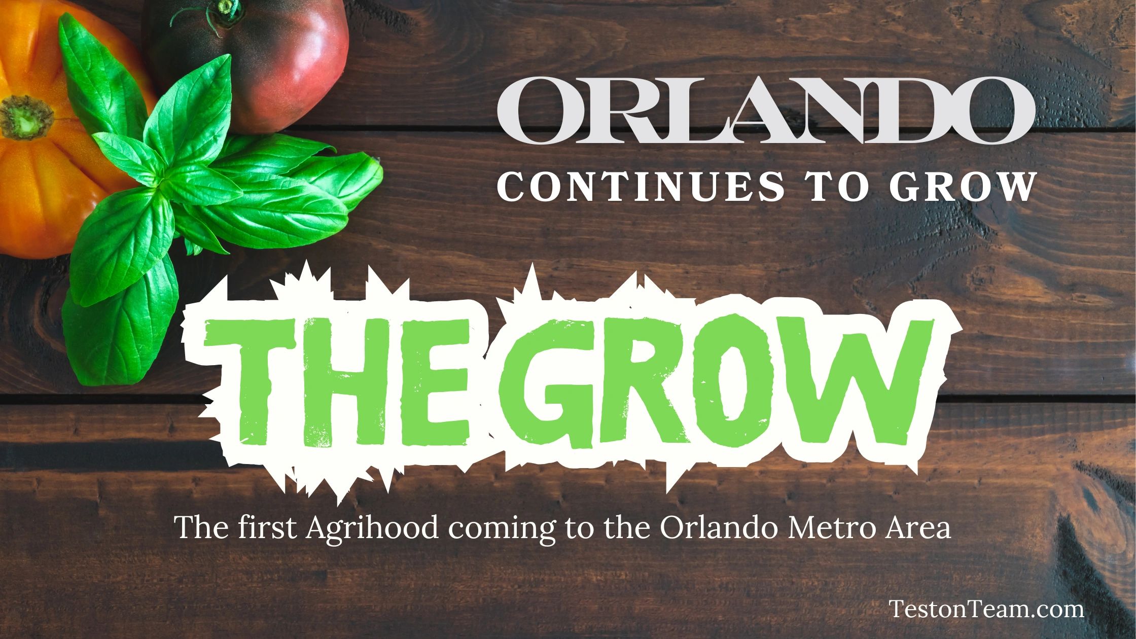 Exciting Updates on The Grow: New Phases and Future Neighborhoods